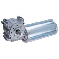 Gear Motor 12V 63x196.00