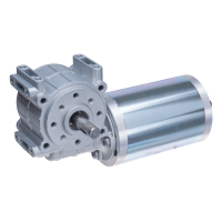 Gear Motor 12V 63x166,00